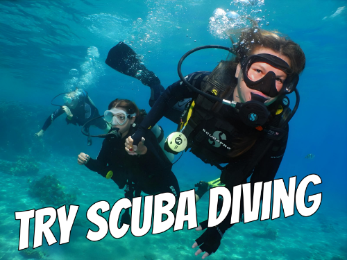 Try Scuba Diving